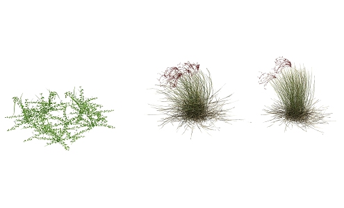 Modern grass flowers 3d model