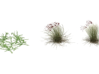 Modern grass flowers 3d model