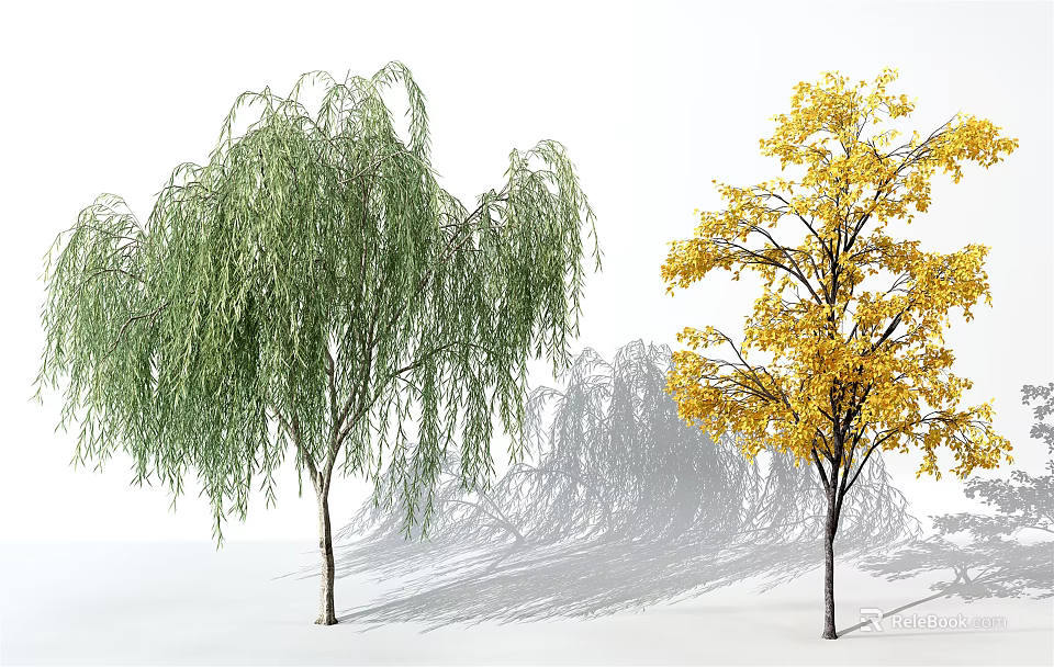 Two Deciduous Trees Weeping Willow With Green Foliage And Yellow Leaf Tree 3d model 
