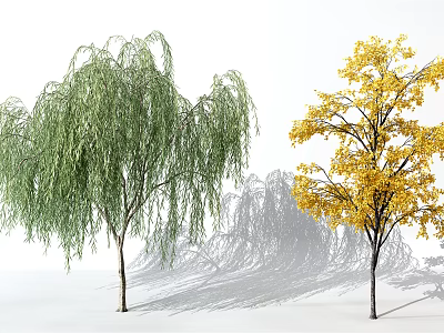 Two Deciduous Trees Weeping Willow With Green Foliage And Yellow Leaf Tree 3d model