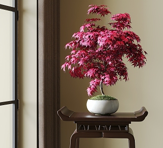 bonsai red maple leaf 3d model