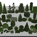 Diverse Assortment of Garden Shrubs with Different Shapes Sizes and Varieties