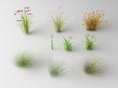 Different Types of Decorative Flowers and Grasses With Various Colors and Textures 3d model