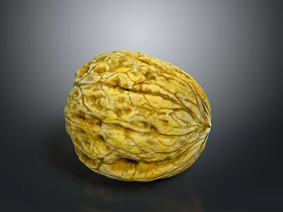 Whole Fresh Walnut With Yellowish Brown Wrinkled Surface On Gray Background 3d model