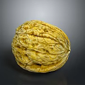 Whole Fresh Walnut With Yellowish Brown Wrinkled Surface On Gray Background