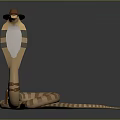 Anthropomorphic Snake Character With Striped Body Wearing Brown Hat Design