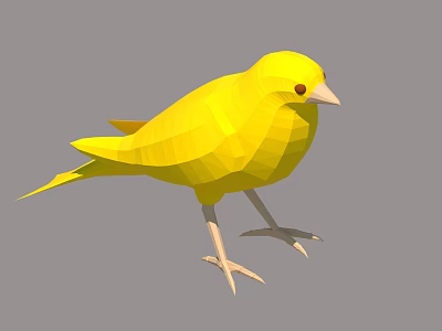 Modern Birds 3d model
