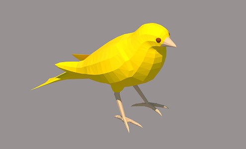 Modern Birds 3d model