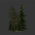 Enchanting Cartoon Scene With Tall Pine Trees Colorful Flowers And Mushrooms In Green Forest