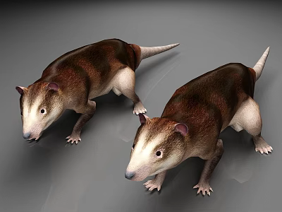 Two Realistic Anteaters With Brown White Fur Standing In 3D Rendering 3d model