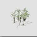 Palm Trees With Various Heights Featuring Green Leaves Trunks And Ground Shadows 3d model