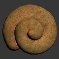 Two Golden Brown Textured Donuts Placed on Black Background Surface