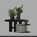 Decorative Table Setup With Round Wooden Top Green Plants And Marble Side Table 3d model