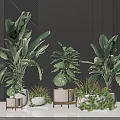 Modern Indoor Potted Plants with Large Green Leaves and White Ceramic Pots on Metal Stands