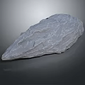 Natural Wood Stone With Rough Surface And Organic Texture For Decorative Design Element