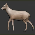 Light pink sheep standing on dark background with smooth fur and realistic posture