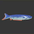 Vibrant Blue And Pink Aquatic Fish With Shiny Body And Reflective Surface