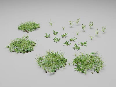 Different Types of Green Plants Including Small Grasses and Leafy Ones Scattered on Gray Background 3d model