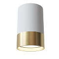 Black Gold Downlight Spotlight Modern Design With Metal Finish And Bright LED Ceiling Lighting