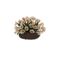 White Tulip Potted Plant In Wicker Basket On Wooden Table Dark Background