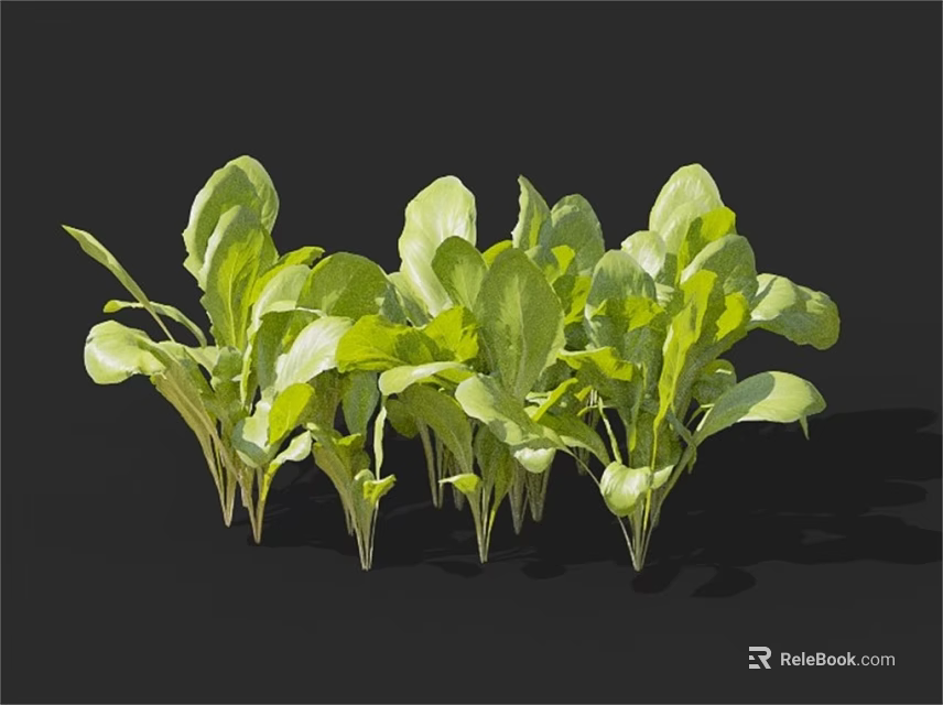 Fresh Green Leafy Vegetables With Vibrant Leaves And Tender Stems 3d model 