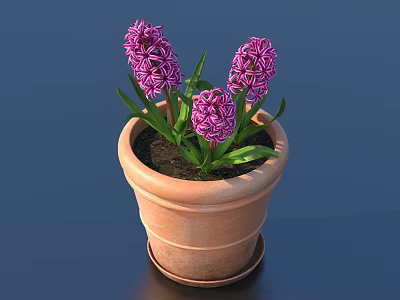 Potted Plant with Purple Hyacinths in Terracotta Pot and Green Leaves 3d model
