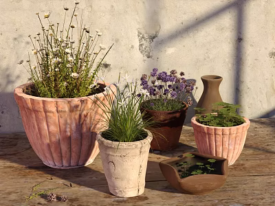 Bonsai Potted Plants In Various Shaped Colorful Pots With Different Green Plants On Wooden Table 3d model