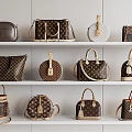 Interior Display Of Various Handbags On Shelves With Different Styles And Shapes