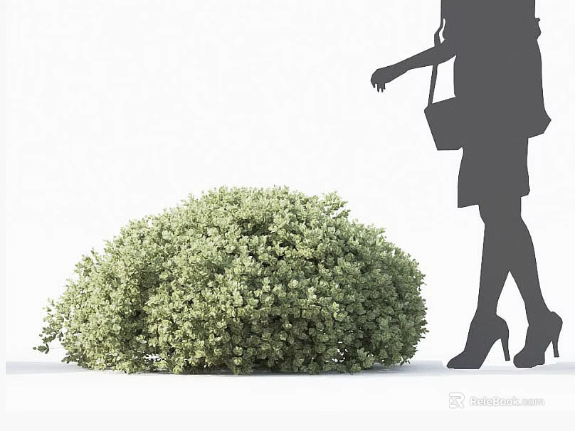 Green Leafy Shrub Beside Silhouette of Woman in Skirt with Handbag and High Heels 3d model 