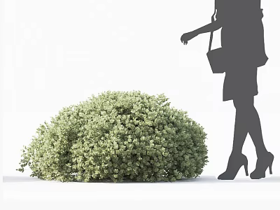 Green Leafy Shrub Beside Silhouette of Woman in Skirt with Handbag and High Heels 3d model