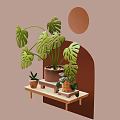 Cartoon Scene With Lush Monstera Leaves On Wooden Shelf And Small Pots With Round Decor