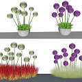 Decorative Garden Plants Featuring White Purple Spherical Flowers And Red Green Grass In White Pots
