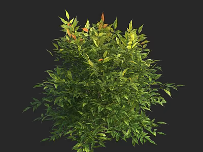 Lush Green Bush With Vibrant Green And Orange Leaves For Garden Decoration 3d model