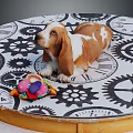 Brown and white Basset Hound lying on circular gear clock pattern mat with colorful toy
