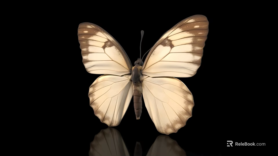 Detailed Cream And Brown Butterfly Animal Painting With Patterned Wings On Black Background 3d model 
