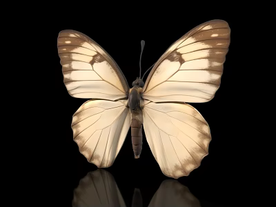 Detailed Cream And Brown Butterfly Animal Painting With Patterned Wings On Black Background 3d model