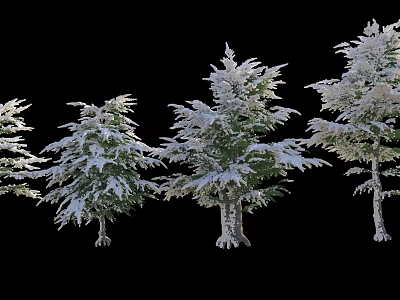 Tall Snow Covered Trees With White Frost On Branches And Brown Trunks 3d model
