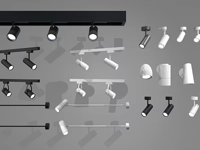 Modern Lighting Fixture Combinations With Track Lights And Spotlights In Black And White 3d model
