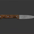 Riveted Kitchen Knife With Wooden Handle And Sharp Metal Blade
