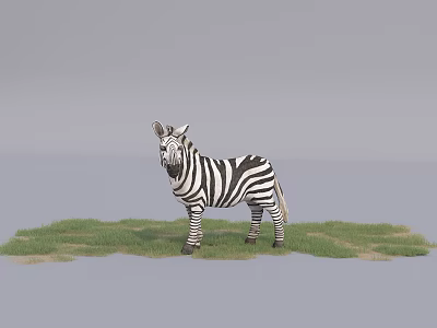 Reptile Standing On Green Grass Field With Natural Gray Background 3d model