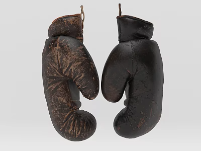 Two Old Worn Boxing Gloves Hanging As Vintage Sports Equipment 3d model