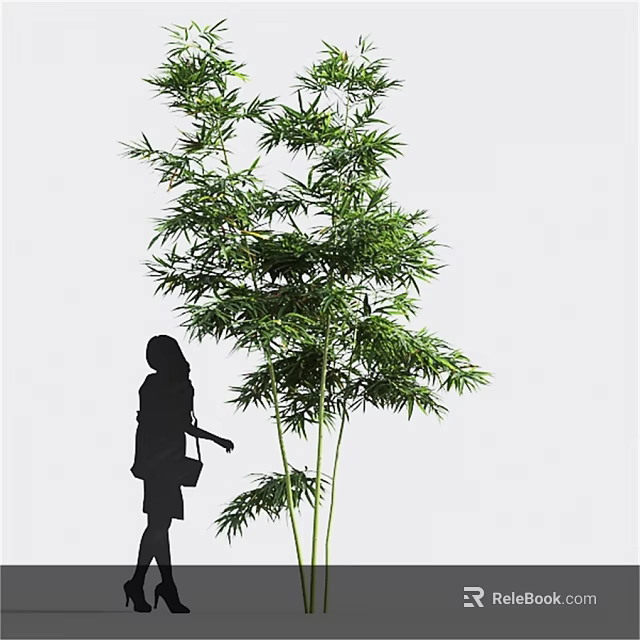 Tall Green Bamboo Plant With Lush Leaves Next To Woman Silhouette 3d model 
