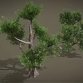 Cartoon Scene Featuring Two Trees With Green Leaves And Curved Trunks On Gray Background