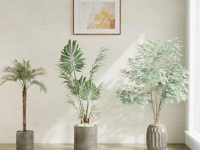plant green plant potted plant 3d model