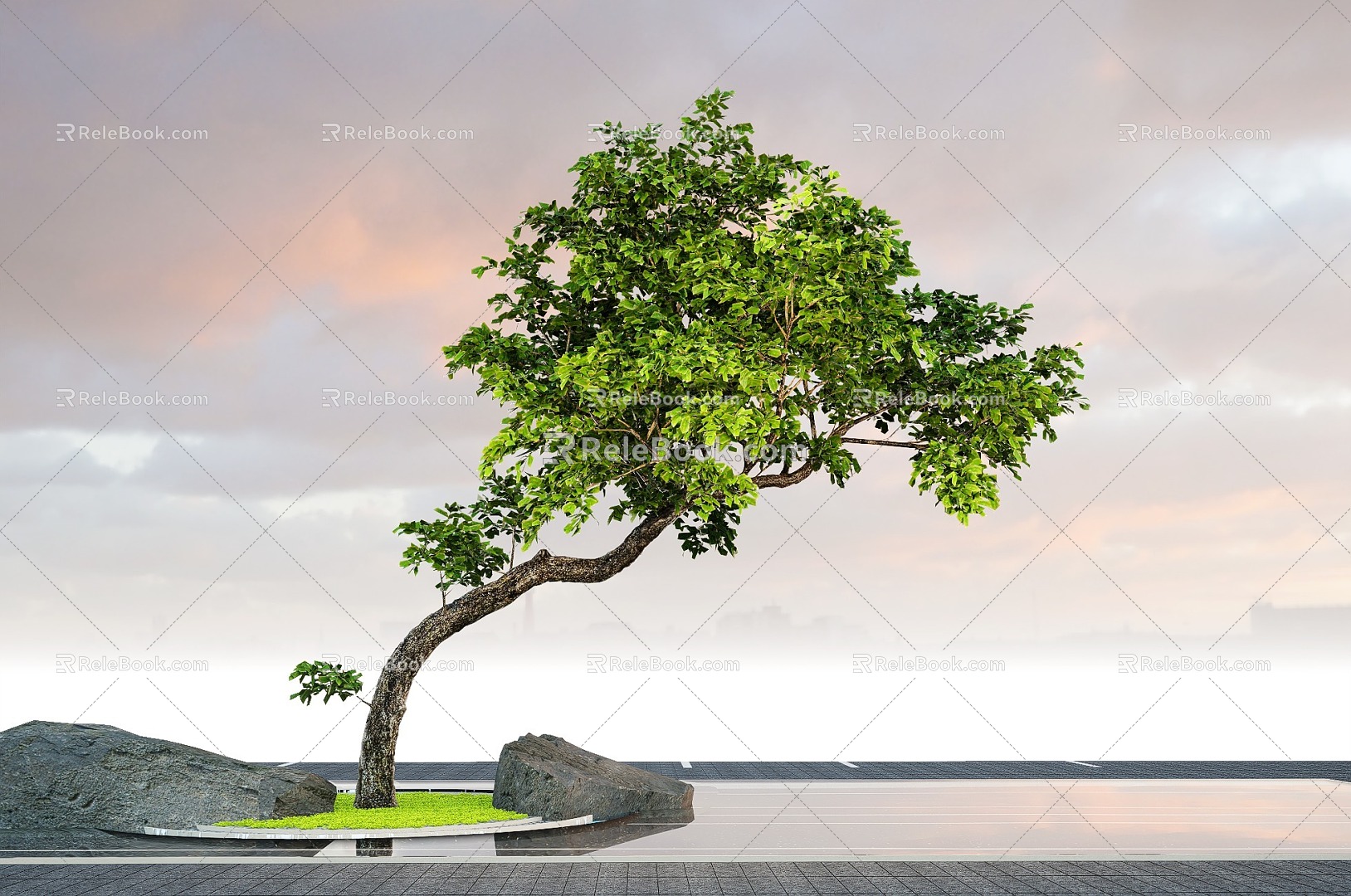 Plant landscape tree pond stone head oblique floating modeling tree 3d model