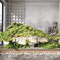 Courtyard Garden With Lush Pine Tree Stone Statues Large Glass Windows And Pebble Flooring