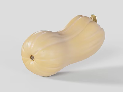 Ripe Fresh Yellow Butternut Squash Whole Vegetable On White Background 3d model