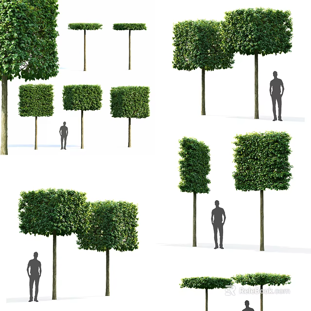 Various Shaped Pruned Shrubs For Garden Landscaping And Decoration 3d model 