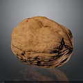 Whole Walnut Kernel With Natural Brown Shell And Smooth Surface