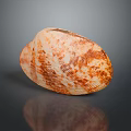 Clam Shell With Orange And White Patterned Surface On Dark Background With Reflection 3d model